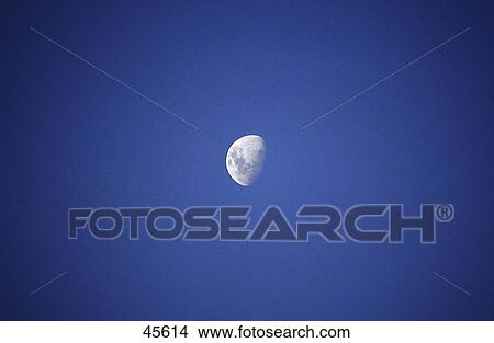 Low angle view of half moon in sky, Australia View Large Photo Image Picture - Low angle view of half moon in sky, Australia . Fotosearch