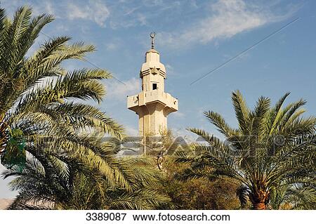 Minaret and palms, Akaba, Jordan, Asia View Large Photo Image Stock Photo - Minaret and palms, Akaba, Jordan, Asia . Fotosearch