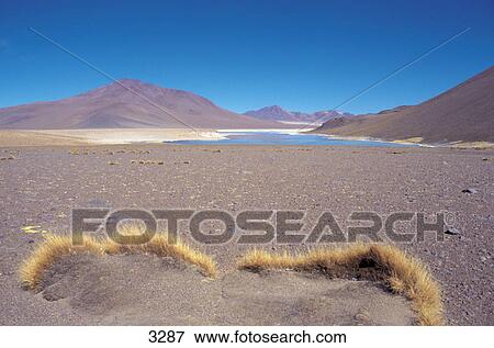 Panoramic view of mountain range, Andes, Bolivia View Large Photo Image Stock Photo - Panoramic view of mountain range, Andes, Bolivia . Fotosearch