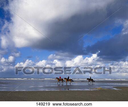 People riding horses at beach View Large Photo Image Stock Photo - People riding horses at beach . Fotosearch