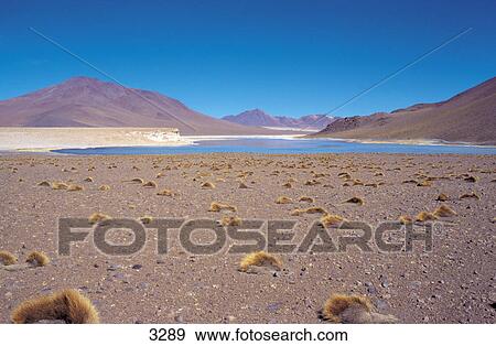 Pond with mountain range in background, Andes, Bolivia View Large Photo Image Stock Photo - Pond with mountain range in background, Andes, Bolivia . Fotosearch
