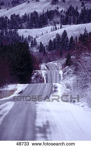 Stock Image - Road running through forest, British Columbia, Canada . Fotosearch