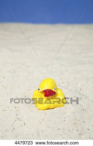 Rubber duck at beach View Large Photo Image Stock Image - Rubber duck at beach . Fotosearch