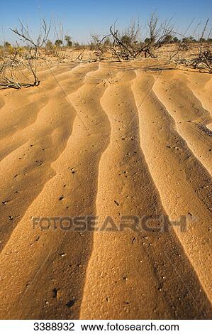 Sand dune, elevated view View Large Photo Image Stock Image - Sand dune, elevated view . Fotosearch