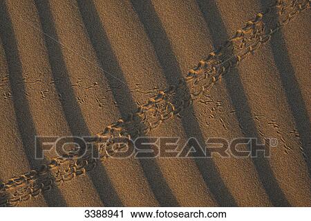 Tracks in the sand, view upon View Large Photo Image Stock Image - Tracks in the sand, view upon . Fotosearch