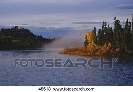 Trees at lakeside, Lake Laberge, Yukon, Canada View Large Photo Image Stock Photo - Trees at lakeside, Lake Laberge, Yukon, Canada . Fotosearch