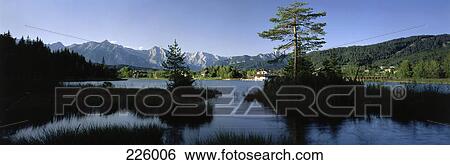Trees in lake, Austria View Large Photo Image Stock Photograph - Trees in lake, Austria . Fotosearch