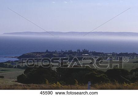 Stock Image - Trees on island, Kangaroo Island, Victor Harbor, South Australia, Australia . Fotosearch