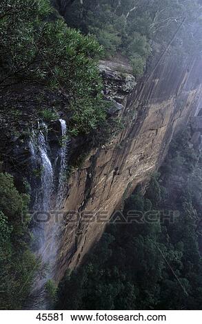 Waterfall in forest, Fitzroy Falls, New South Wales, Australia View Large Photo Image Stock Image - Waterfall in forest, Fitzroy Falls, New South Wales, Australia . Fotosearch