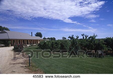 Stock Image - Winery on landscape, Coonawarra Valley, Australia . Fotosearch