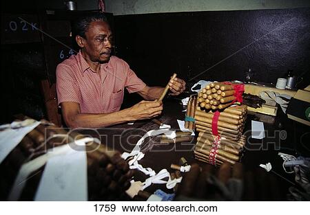Stock Photo - Worker making Partagas cigars in factory, Havana, Cuba . Fotosearch