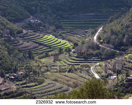 Stock Image - Aerial view of terraced farms, La Gomera, Canary Islands, Spain . Fotosearch