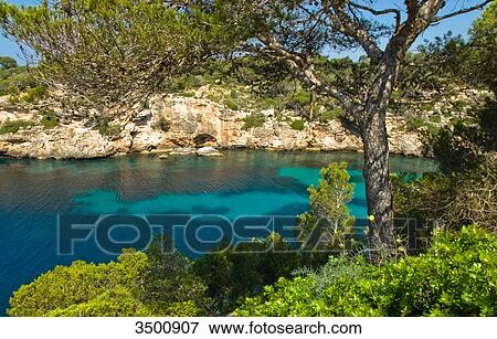 Bay of Cala Pi, Majorca View Large Photo Image Stock Photo - Bay of Cala Pi, Majorca . Fotosearch
