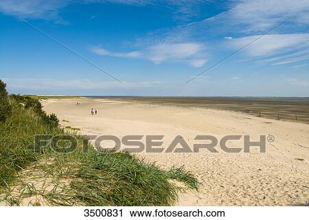 Beach and dunes on Langeoog, Germany View Large Photo Image Stock Image - Beach and dunes on Langeoog, Germany . Fotosearch