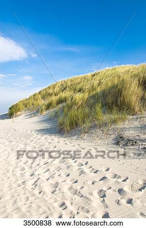 Stock Photo - Beach and dunes on Wangerooge, Germany . Fotosearch