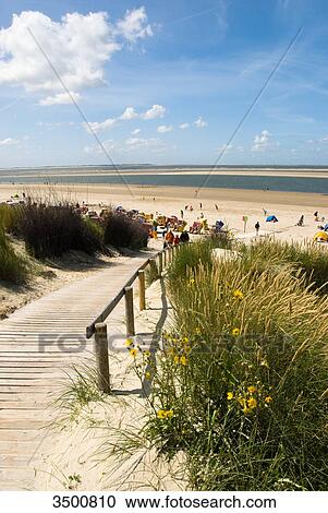 Beach on Langeoog, Germany View Large Photo Image Stock Image - Beach on Langeoog, Germany . Fotosearch