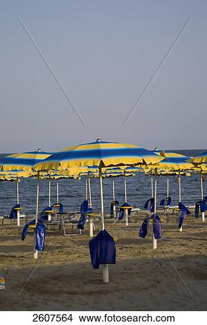 Picture - Beach umbrellas on beach, Lido di Pomposa, Emilia-Romagna, Italy . Fotosearch
