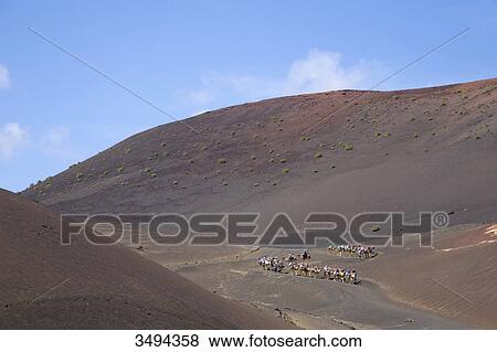 Stock Photo - Camel riders, National Park Timanfaya, Lanzarote, Canary Islands, Spain, Europe . Fotosearch
