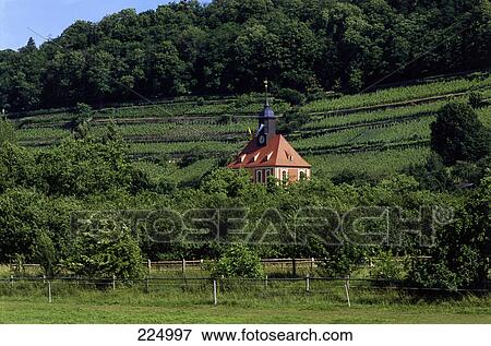 Stock Photo - Church in a vineyard, Dresden, Saxony, Germany . Fotosearch