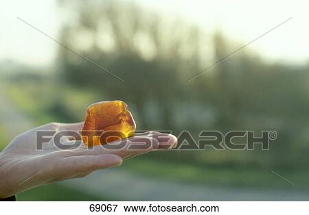 Close-up of amber nugget on human hand, Neuwerk, Hamburg, Germany View Large Photo Image Stock Photo - Close-up of amber nugget on human hand, Neuwerk, Hamburg, Germany . Fotosearch