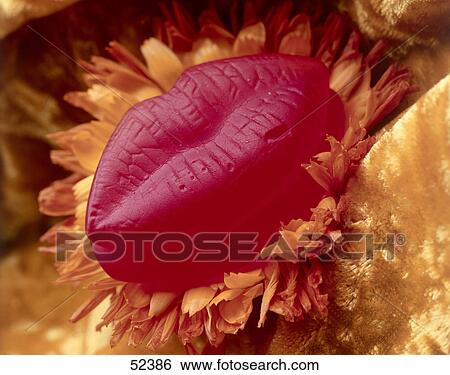 Stock Photograph - Close-up of artificial red lips on flower . Fotosearch