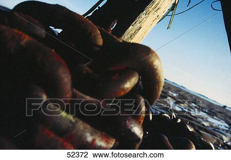 Close-up of chain links View Large Photo Image Stock Image - Close-up of chain links . Fotosearch