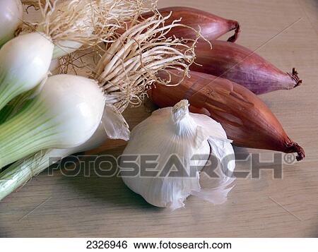Close-up of clove of garlic with onions View Large Photo Image Stock Photograph - Close-up of clove of garlic with onions . Fotosearch