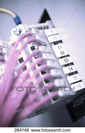 Close-up of computer cables View Large Photo Image Stock Photo - Close-up of computer cables . Fotosearch