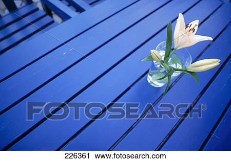 Stock Image - Close-up of Day Lilies and buds in vase . Fotosearch