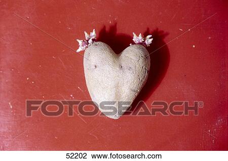 Close-up of heart shaped potato View Large Photo Image Stock Image - Close-up of heart shaped potato . Fotosearch