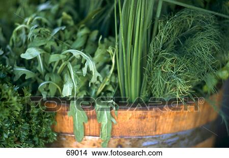 Close-up of herbs in bucket View Large Photo Image Picture - Close-up of herbs in bucket . Fotosearch