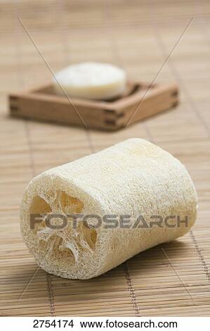 Picture - Close-up of pumice stone . Fotosearch