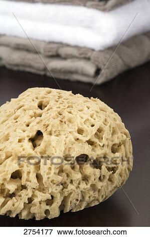 Stock Photo - Close-up of pumice stone . Fotosearch