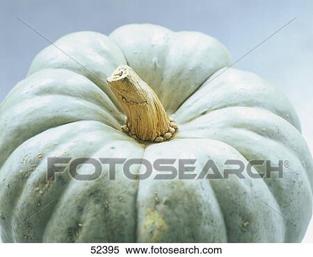 Close-up of pumpkin View Large Photo Image Stock Photography - Close-up of pumpkin . Fotosearch