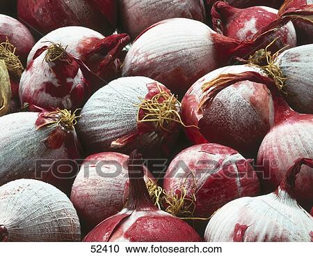 Stock Image - Close-up of red onions . Fotosearch