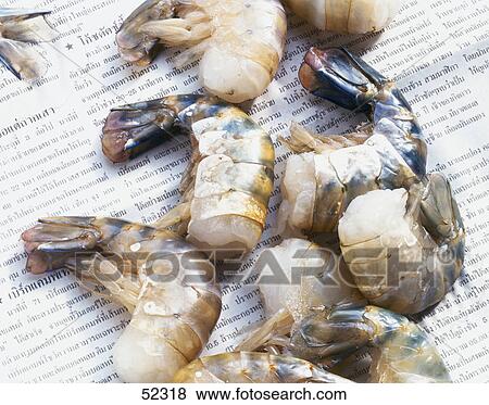 Close-up of shrimps on paper View Large Photo Image Stock Photo - Close-up of shrimps on paper . Fotosearch