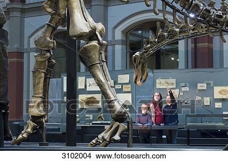 Dinosaur hall, children, Museum of Natural History, Berlin, Germany View Large Photo Image Picture - Dinosaur hall, children, Museum of Natural History, Berlin, Germany . Fotosearch