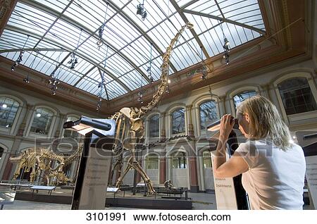 Dinosaur hall, children, Museum of Natural History, Berlin, Germany View Large Photo Image Stock Image - Dinosaur hall, children, Museum of Natural History, Berlin, Germany . Fotosearch