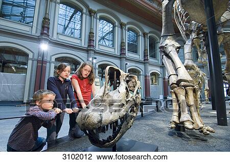 Dinosaur hall, children, Museum of Natural History, Berlin, Germany View Large Photo Image Stock Image - Dinosaur hall, children, Museum of Natural History, Berlin, Germany . Fotosearch