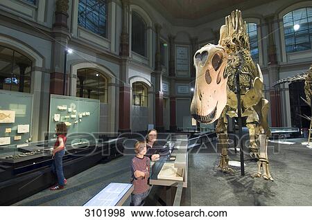 Dinosaur hall, children, Museum of Natural History, Berlin, Germany View Large Photo Image Stock Photo - Dinosaur hall, children, Museum of Natural History, Berlin, Germany . Fotosearch