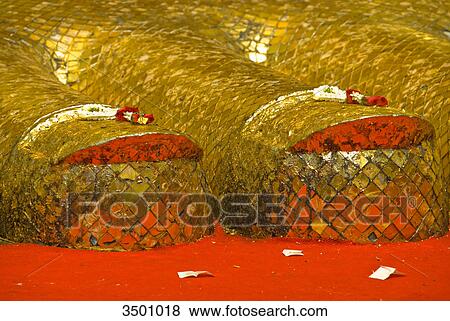 Feet of the Buddha statue at Wat Intharawihan, Bangkok, Thailand View Large Photo Image Stock Photo - Feet of the Buddha statue at Wat Intharawihan, Bangkok, Thailand . Fotosearch