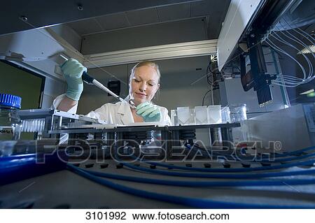 Female laboratory assistant using a pipetting robot, Max-Planck-Institute for molecular genetics, AG Kardiovaskulaere Genetik, Berlin, Germany, Europe View Large Photo Image Stock Image - Female laboratory assistant using a pipetting robot, Max-Planck-Institute for molecular genetics, AG Kardiovaskulaere Genetik, Berlin, Germany, Europe . Fotosearch