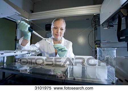 Female laboratory assistant using a pipetting robot, Max-Planck-Institute for molecular genetics, AG Kardiovaskulaere Genetik, Berlin, Germany, Europe View Large Photo Image Stock Photography - Female laboratory assistant using a pipetting robot, Max-Planck-Institute for molecular genetics, AG Kardiovaskulaere Genetik, Berlin, Germany, Europe . Fotosearch