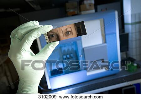 Female laboratory assistant with gene chip and reading device for sequencing and gene expression profiling, Max-Planck-Institute for molecular genetics, AG Kardiovaskulaere Genetik, Berlin, Germany, Europe View Large Photo Image Stock Photo - Female laboratory assistant with gene chip and reading device for sequencing and gene expression profiling, Max-Planck-Institute for molecular genetics, AG Kardiovaskulaere Genetik, Berlin, Germany, Europe . Fotosearch