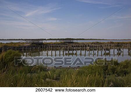 Fish traps in river, Valli Di Comacchio, Emilia-Romagna, Italy View Large Photo Image Stock Image - Fish traps in river, Valli Di Comacchio, Emilia-Romagna, Italy . Fotosearch