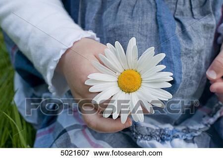 Girl with marguerite View Large Photo Image Stock Photo - Girl with marguerite . Fotosearch