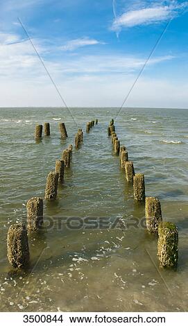 Groins in the North Sea, Wangerooge, Germany View Large Photo Image Picture - Groins in the North Sea, Wangerooge, Germany . Fotosearch