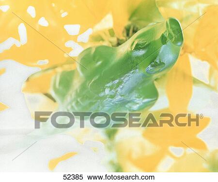 High angle view of candies View Large Photo Image Stock Photography - High angle view of candies . Fotosearch