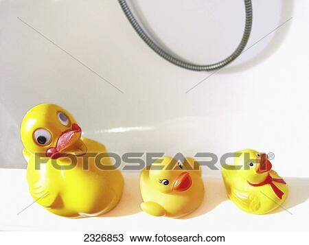 High angle view of rubber ducks View Large Photo Image Stock Image - High angle view of rubber ducks . Fotosearch