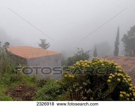 Houses on mountain surrounded by fog, Garajonay National Park, La Gomera, Canary Islands, Spain View Large Photo Image Stock Photo - Houses on mountain surrounded by fog, Garajonay National Park, La Gomera, Canary Islands, Spain . Fotosearch